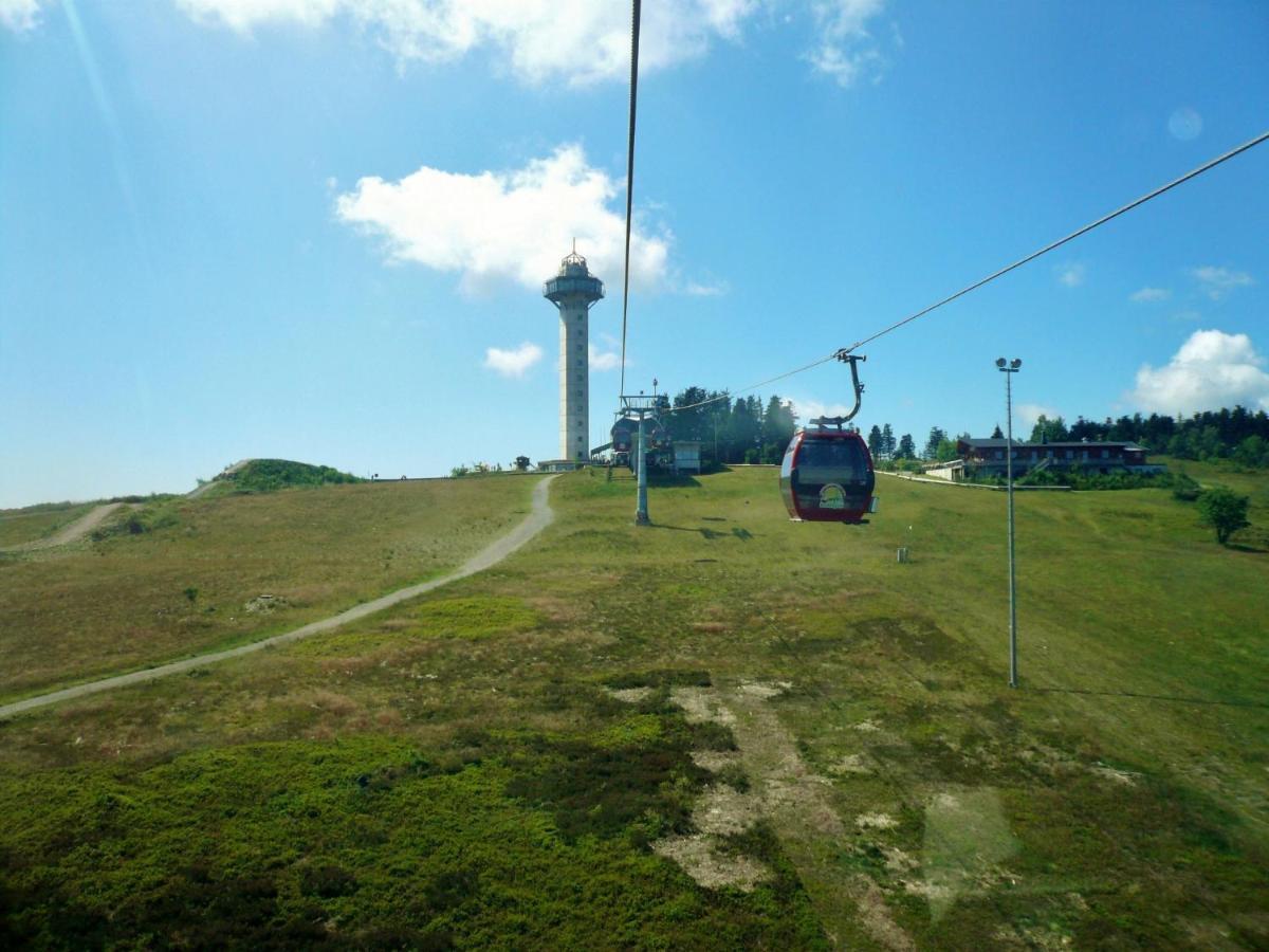 Ferienwohnung Nelly Am Kurpark Willingen  Εξωτερικό φωτογραφία