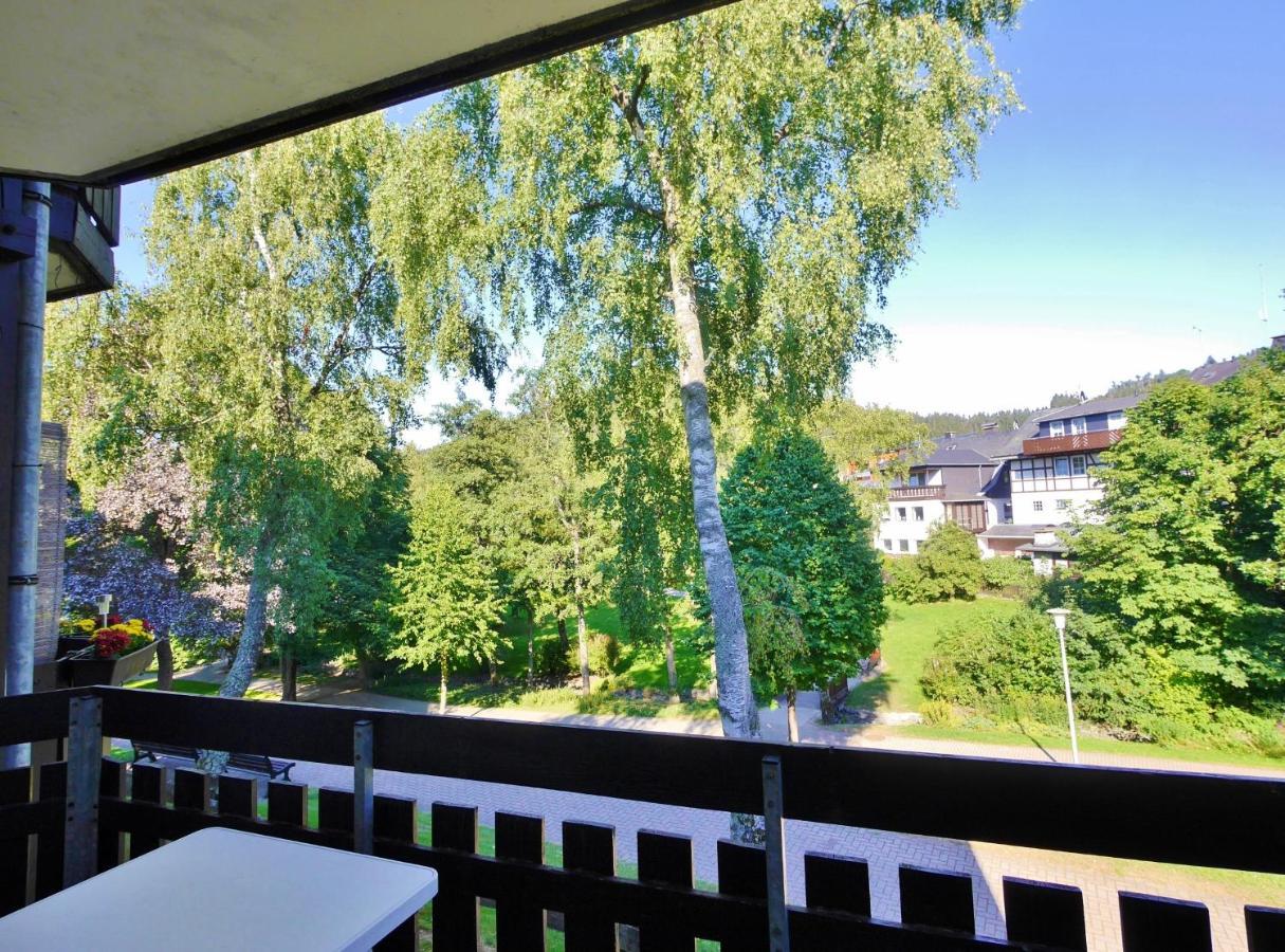 Ferienwohnung Nelly Am Kurpark Willingen  Εξωτερικό φωτογραφία